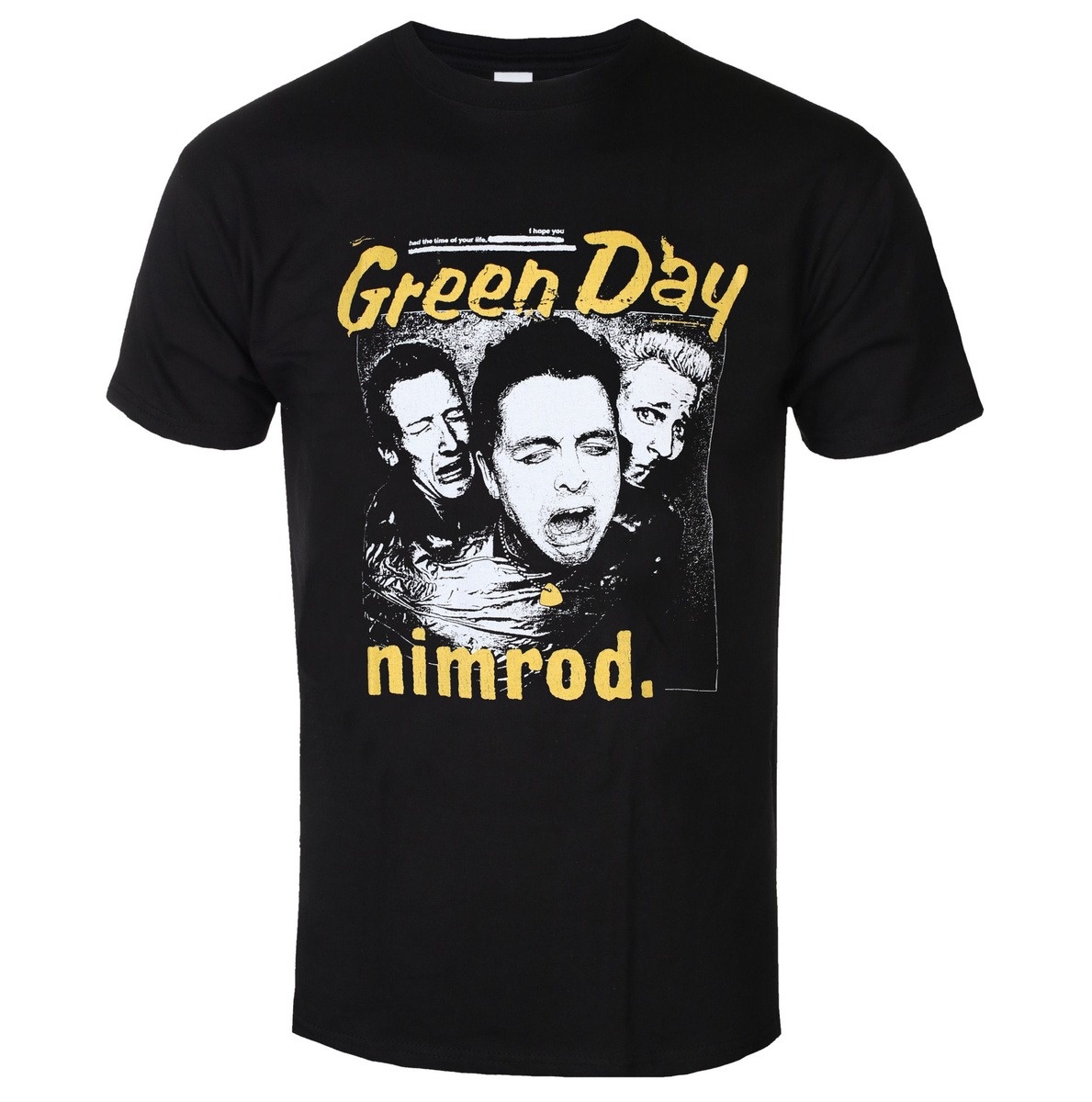 Green Day Distressed Faded Ban - Band Tee Faded 90S ulasan dan harga